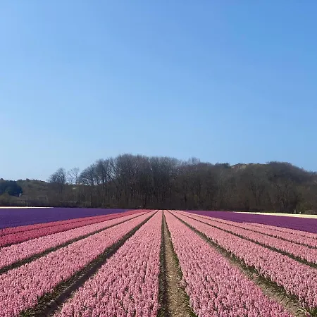 بيت للعطل Warmehuisje.nl *